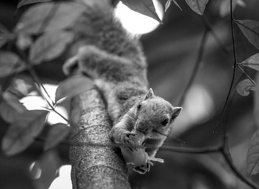 性能卓越稳定的免费ddos攻击网页端